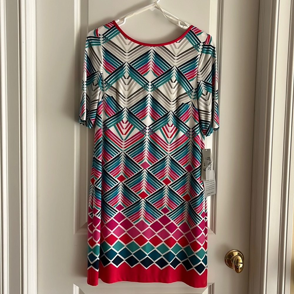 NWT Eliza J Ladies Loose Fit Dress from Nordstrom